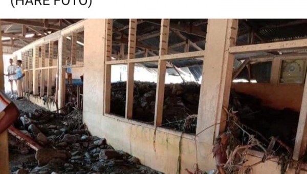 MEJD nia agradese wa'in ba sujestaun no preokupasaun Sr. Liurai Nasinalizmo, ne'ebe fo atensaun as tebes ba eskola sira ne'ebe afetadu hosi inundasaun hafoin udan bot 